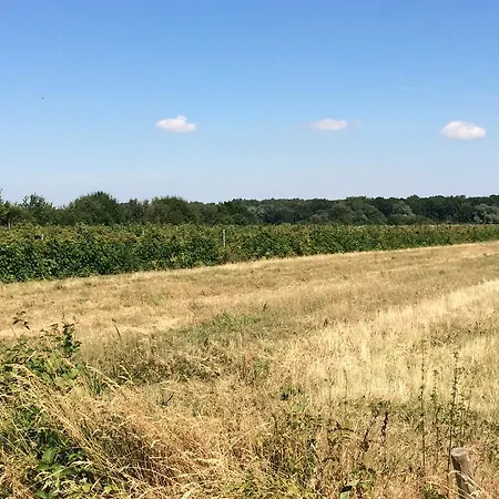 Johanneshof Gaestehaus Penzion 4*