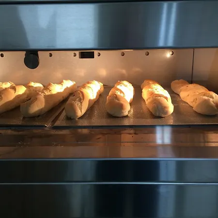 约翰奈斯霍夫宾馆 4* 霍根海姆