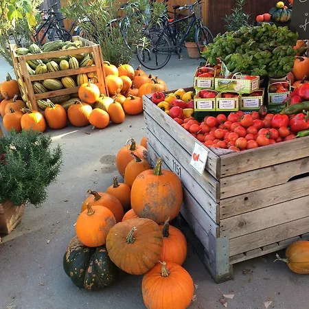 约翰奈斯霍夫宾馆 招待所 霍根海姆