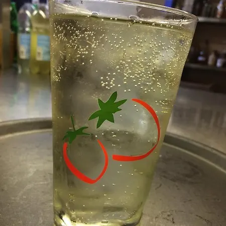 约翰奈斯霍夫宾馆 霍根海姆