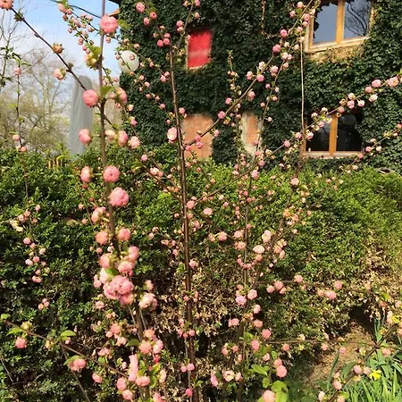 Johanneshof Gaestehaus 4*