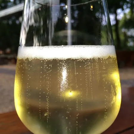 约翰奈斯霍夫宾馆