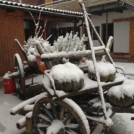Johanneshof Gaestehaus 4* 호켄하임