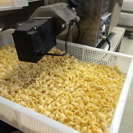 Johanneshof Gaestehaus Maison d'hôtes Hockenheim