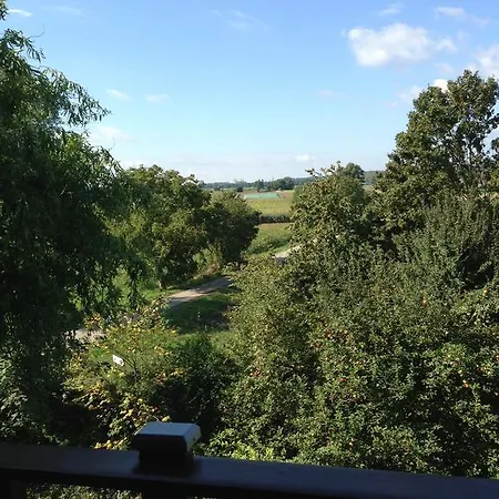 招待所 约翰奈斯霍夫宾馆 霍根海姆