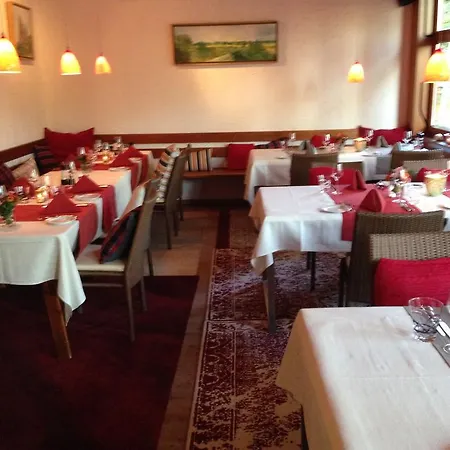 Johanneshof Gaestehaus 4* Hockenheim