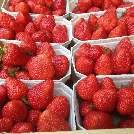 Johanneshof Gaestehaus Maison d'hôtes