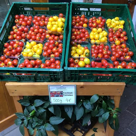 Johanneshof Gaestehaus 4*