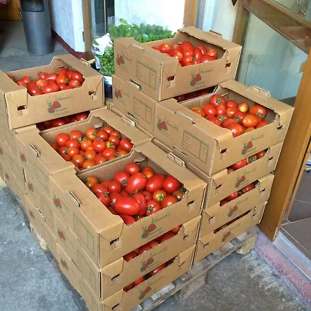 Penzion Johanneshof Gaestehaus Hockenheim